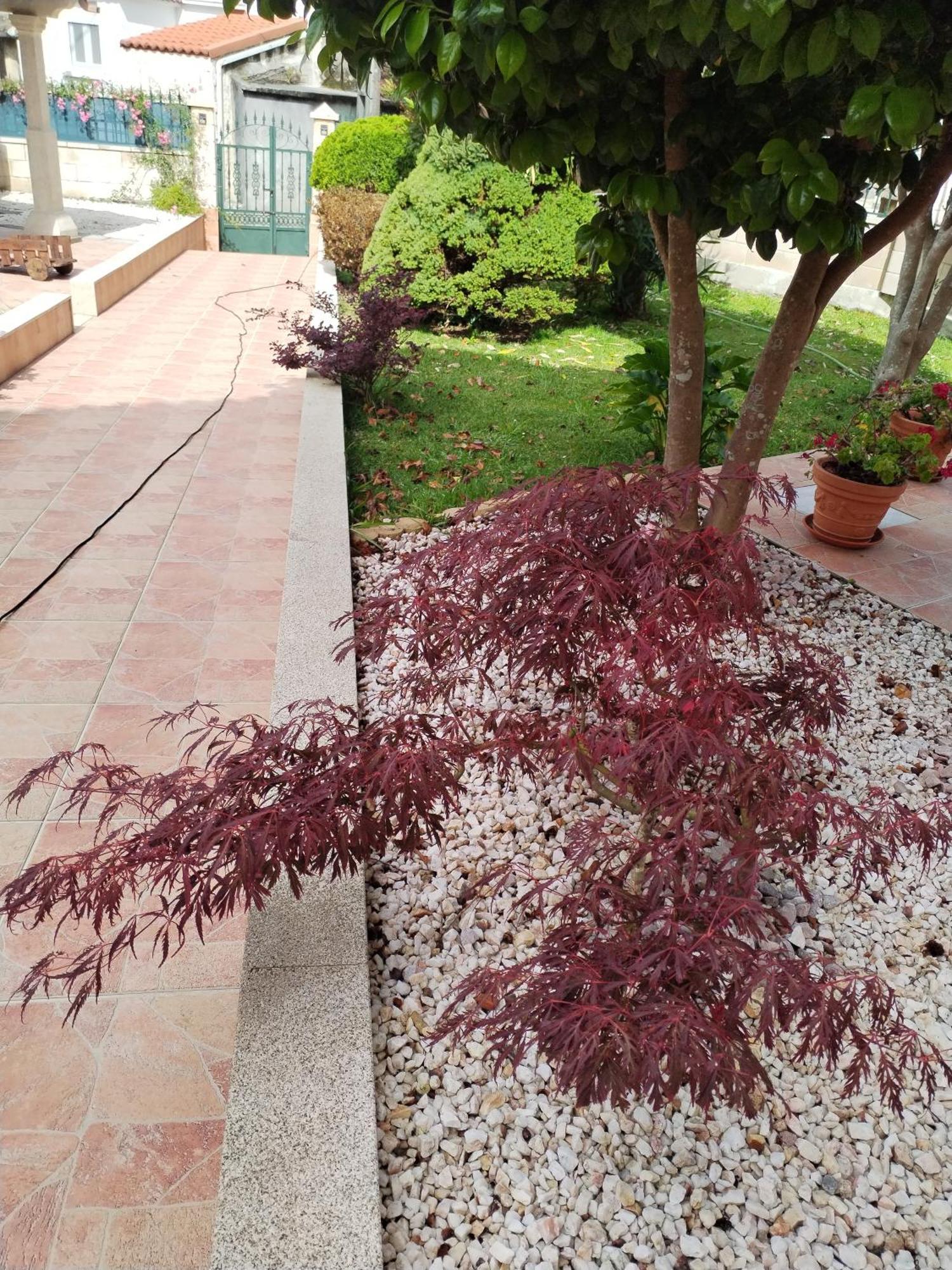 Casa Lopez Villa Carnota Bagian luar foto